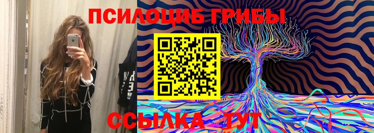 Галлюциногенные грибы Cubensis Янаул